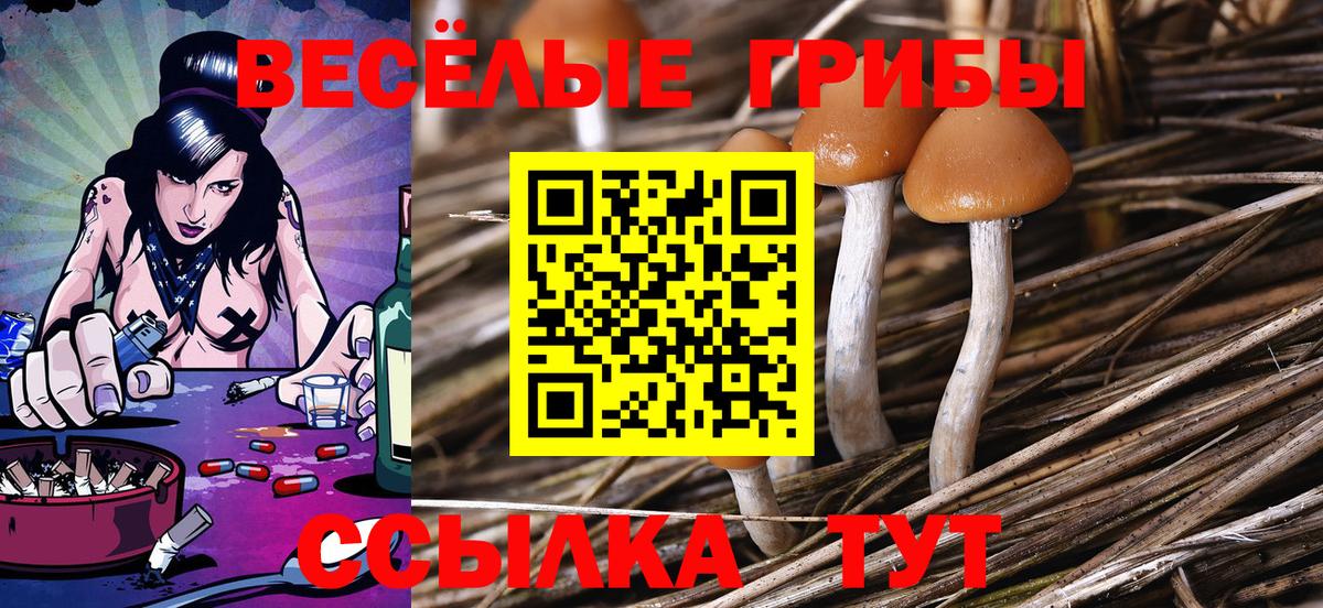 Кемерово  Псилоцибиновые грибы MAGIC MUSHROOMS  Вход с VPN  Галлюциногенные грибы Cubensis 