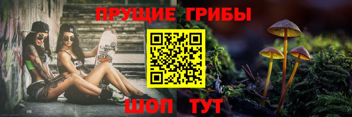 Псилоцибиновые грибы мицелий Кемерово
